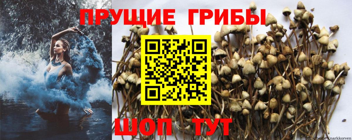 Галлюциногенные грибы ЛСД  Вход с VPN  Галлюциногенные грибы прущие грибы  Минеральные Воды 